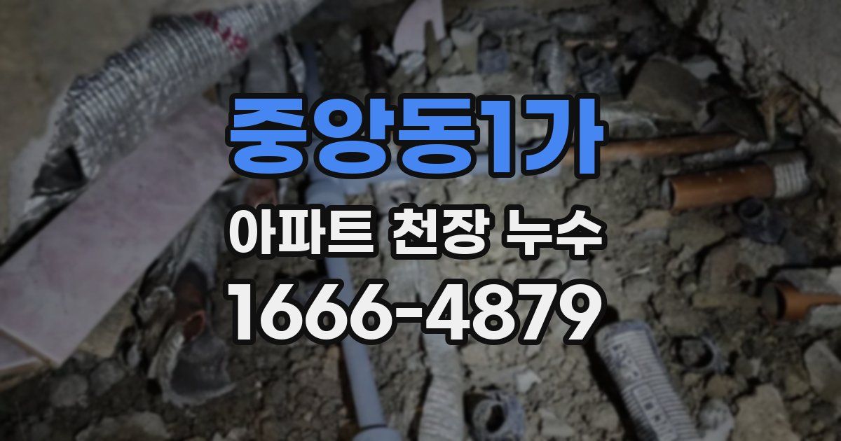 중앙동1가 아파트 천장 누수
