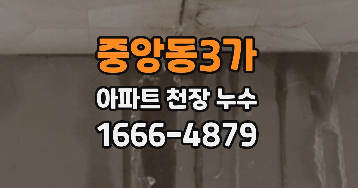중앙동3가 아파트 천장 누수