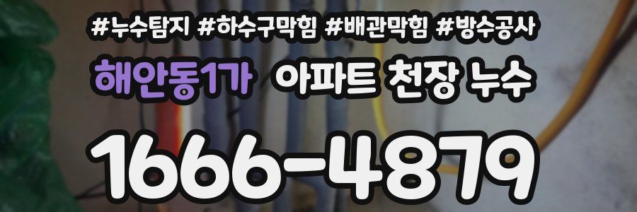 해안동1가 아파트 천장 누수