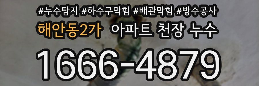 해안동2가 아파트 천장 누수