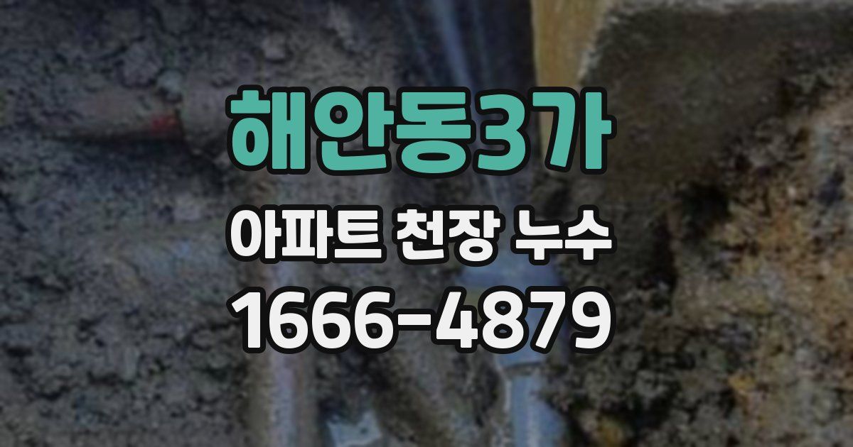 해안동3가 아파트 천장 누수