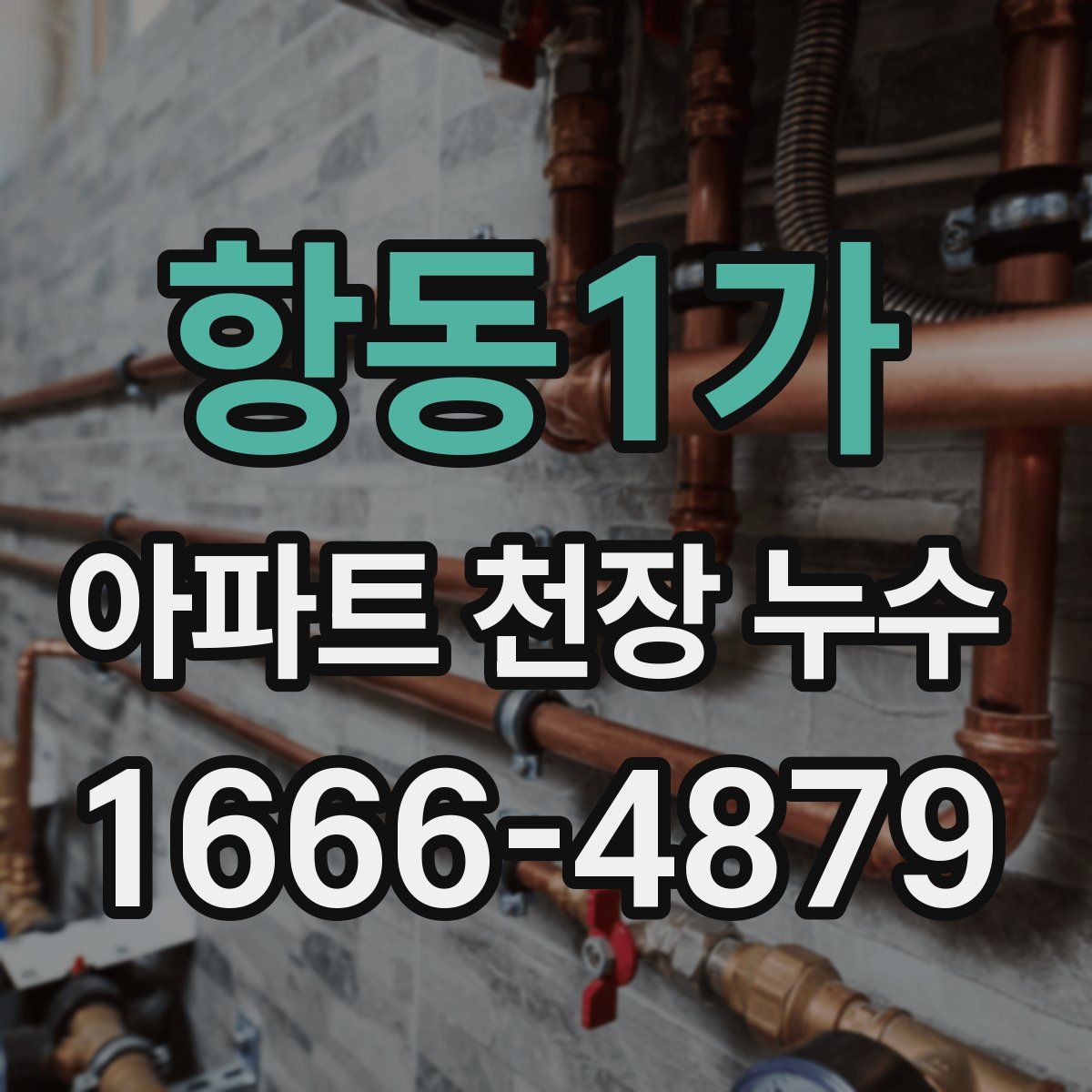 항동1가 아파트 천장 누수