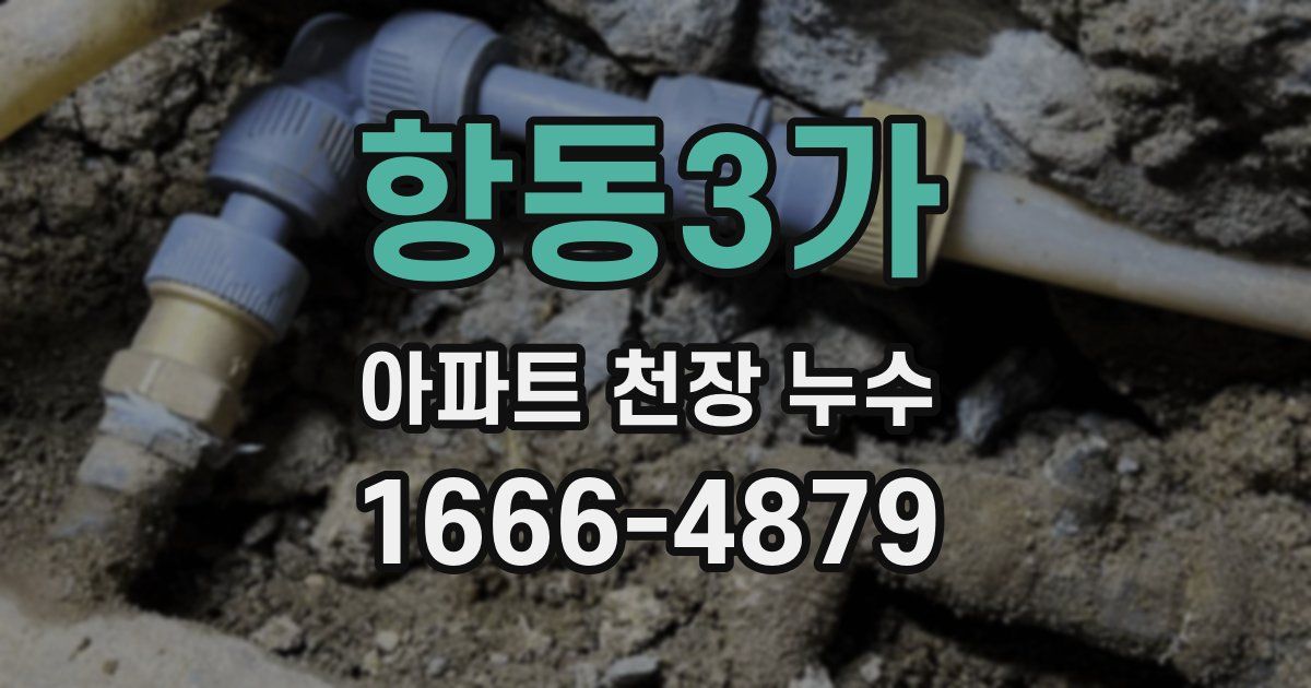 항동3가 아파트 천장 누수