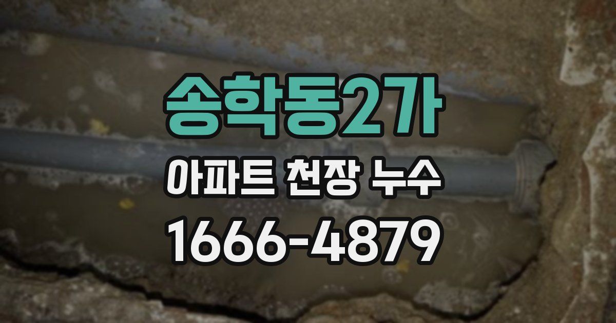 송학동2가 아파트 천장 누수