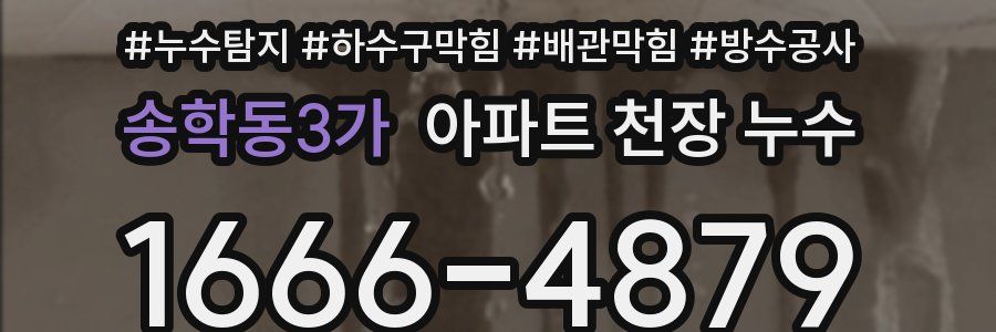 송학동3가 아파트 천장 누수