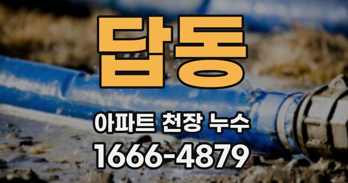 답동 아파트 천장 누수