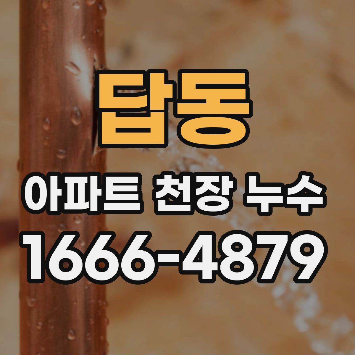 답동 아파트 천장 누수