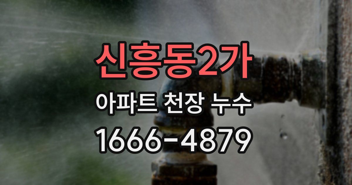 신흥동2가 아파트 천장 누수