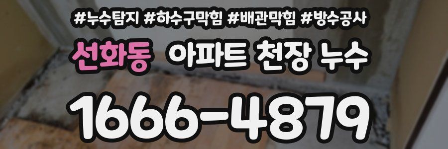 선화동 아파트 천장 누수
