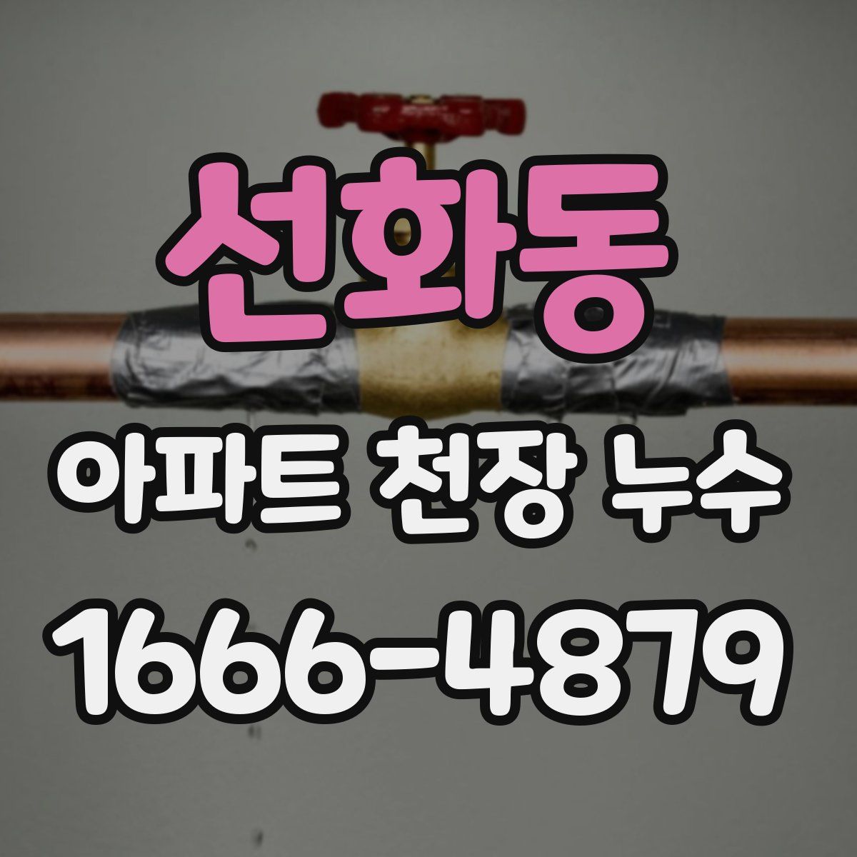 선화동 아파트 천장 누수