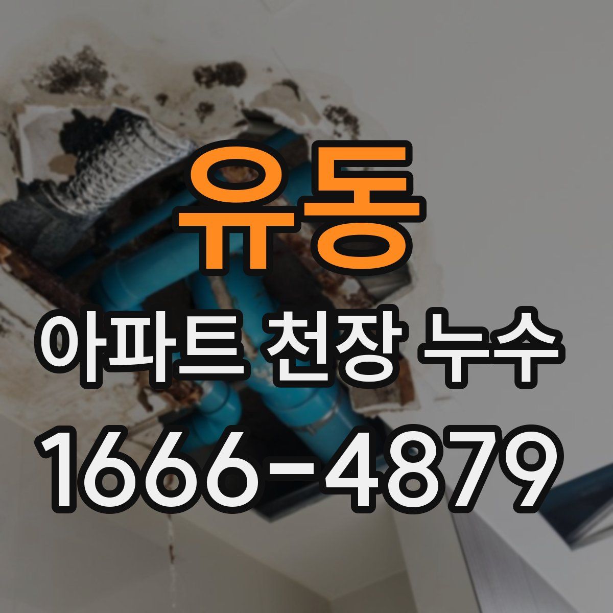 유동 아파트 천장 누수