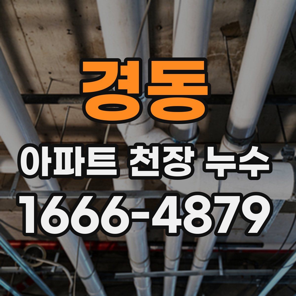 경동 아파트 천장 누수