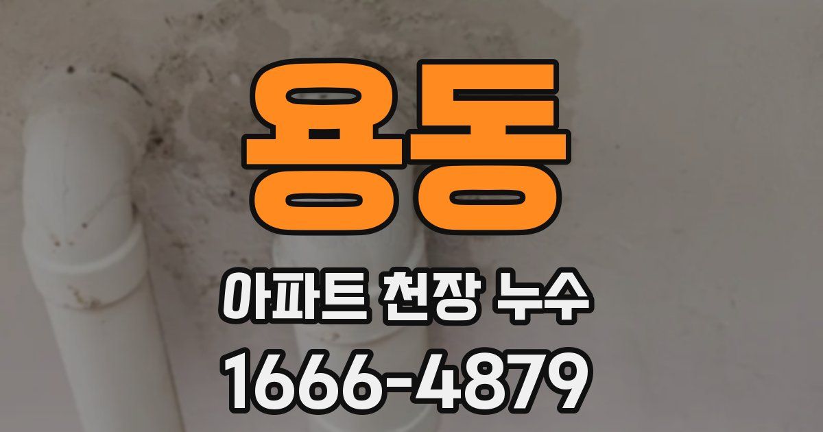 용동 아파트 천장 누수