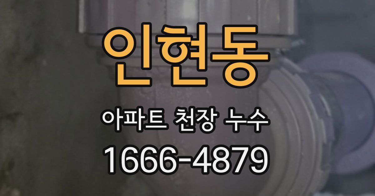 인현동 아파트 천장 누수