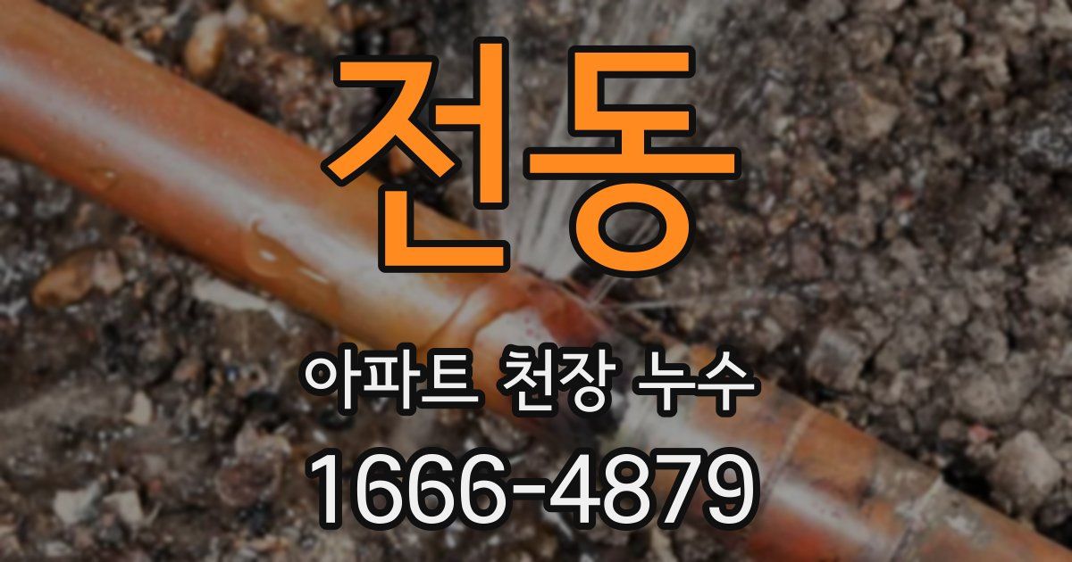 전동 아파트 천장 누수