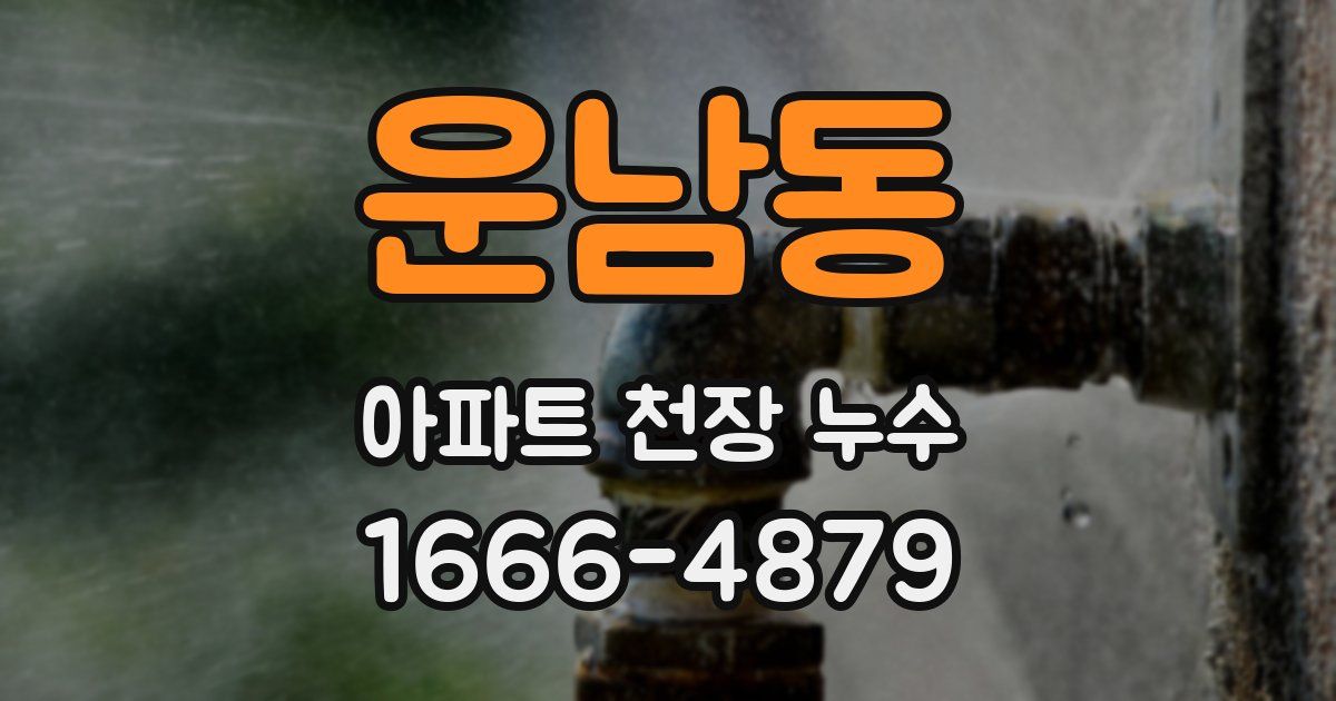 운남동 아파트 천장 누수