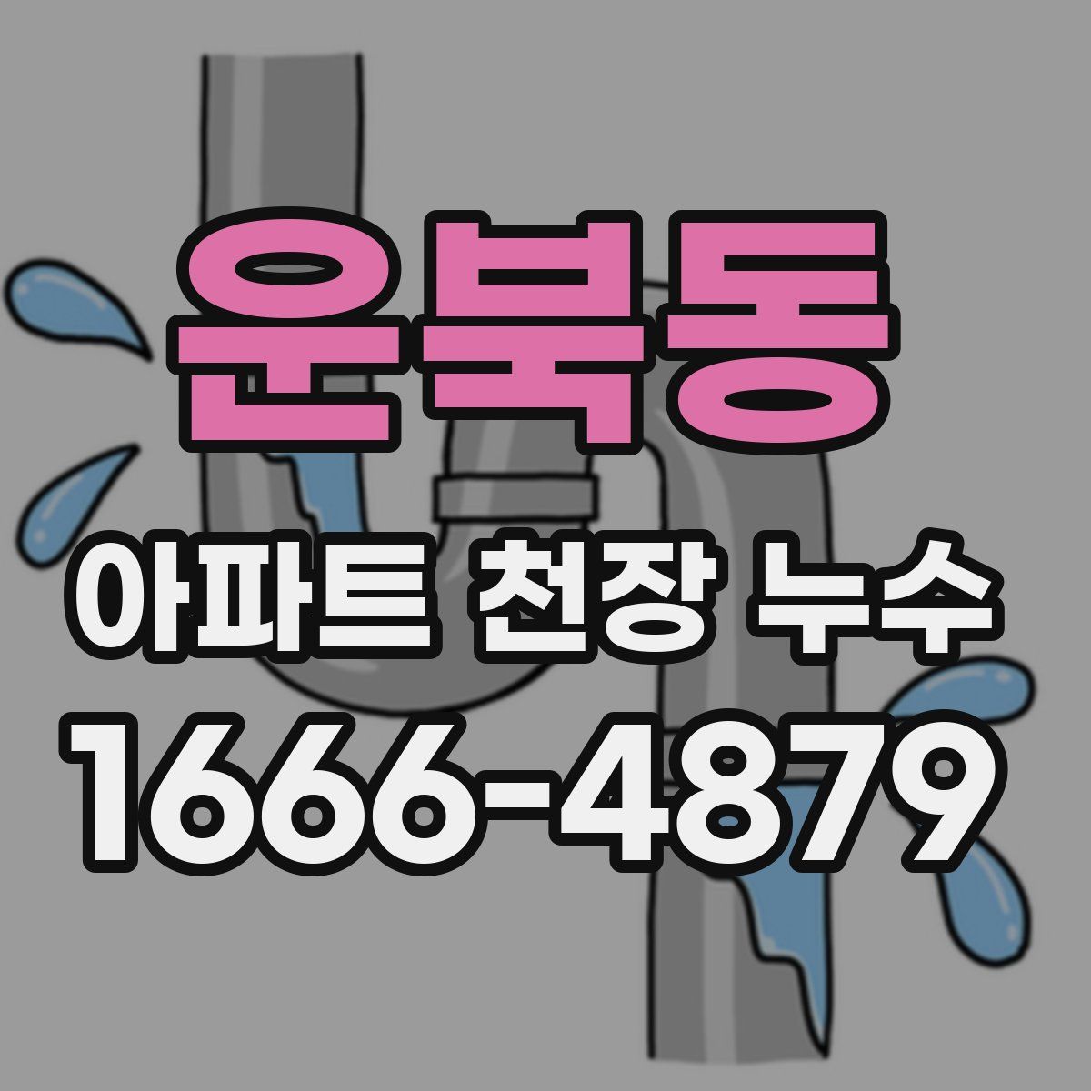 운북동 아파트 천장 누수