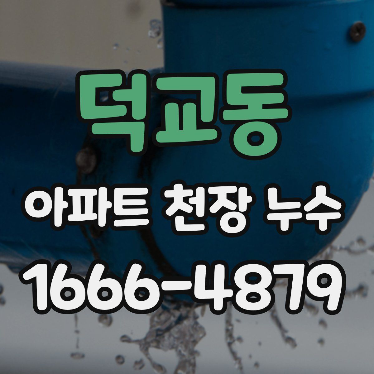 덕교동 아파트 천장 누수
