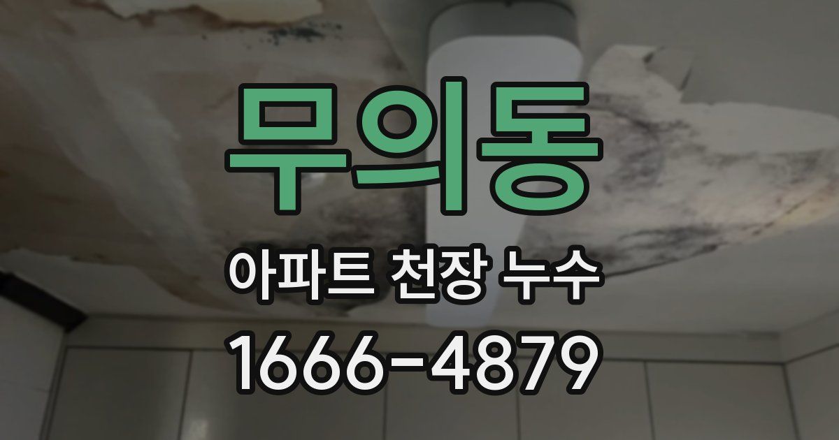 무의동 아파트 천장 누수