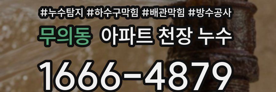 무의동 아파트 천장 누수