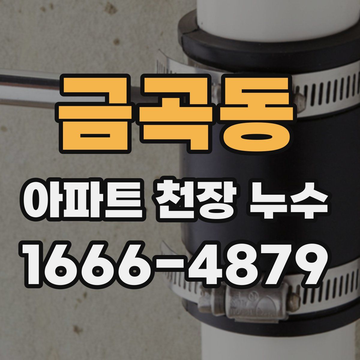 금곡동 아파트 천장 누수