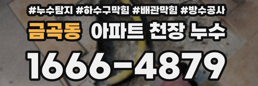 금곡동 아파트 천장 누수