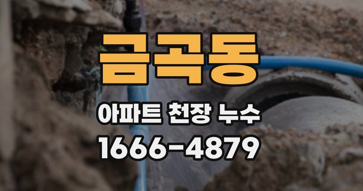 금곡동 아파트 천장 누수