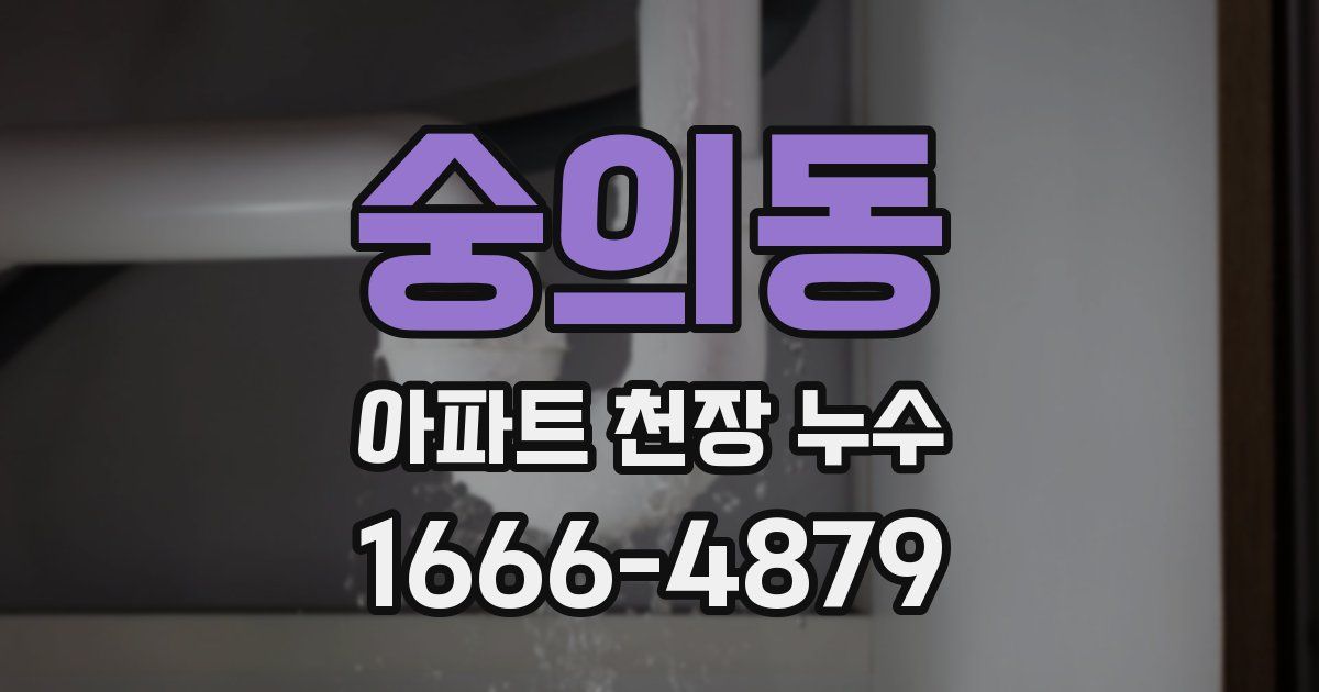 숭의동 아파트 천장 누수