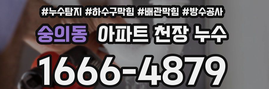 숭의동 아파트 천장 누수