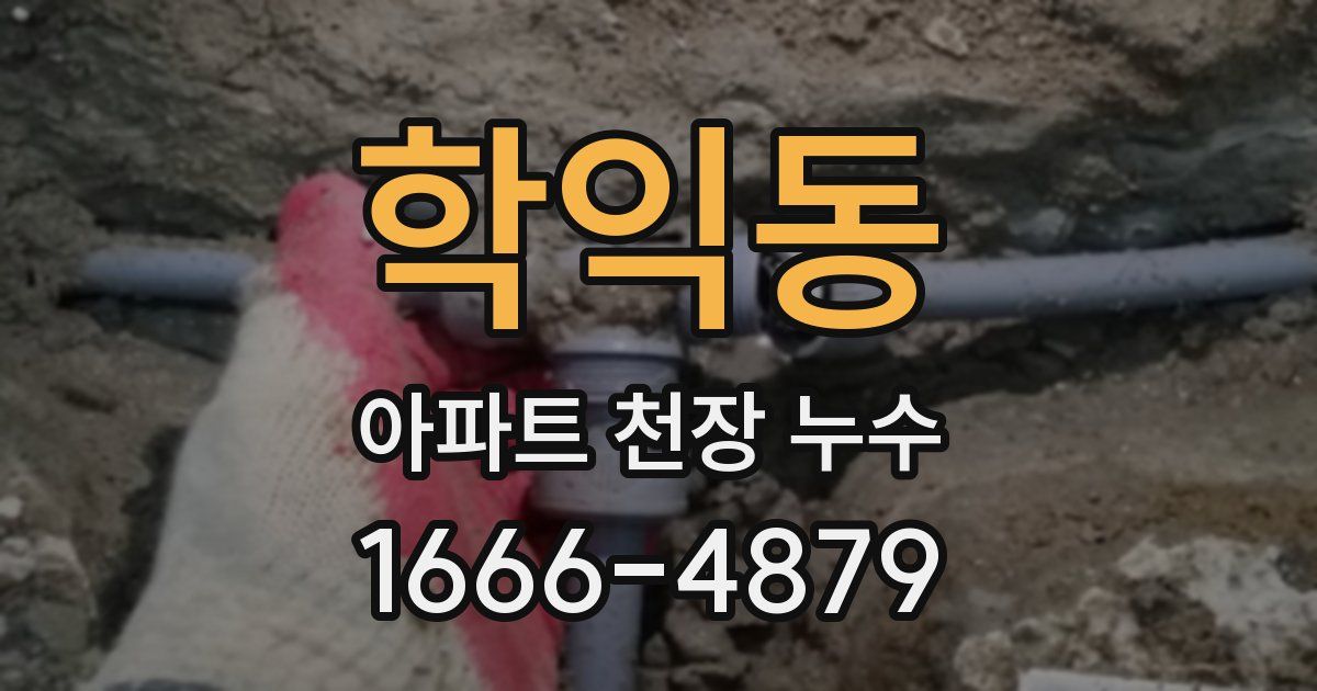 학익동 아파트 천장 누수
