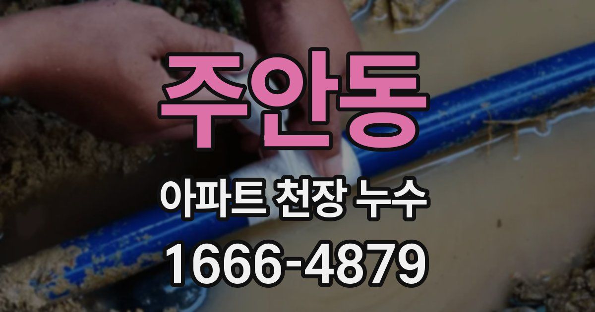 주안동 아파트 천장 누수