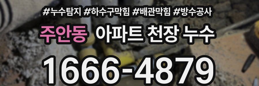 주안동 아파트 천장 누수