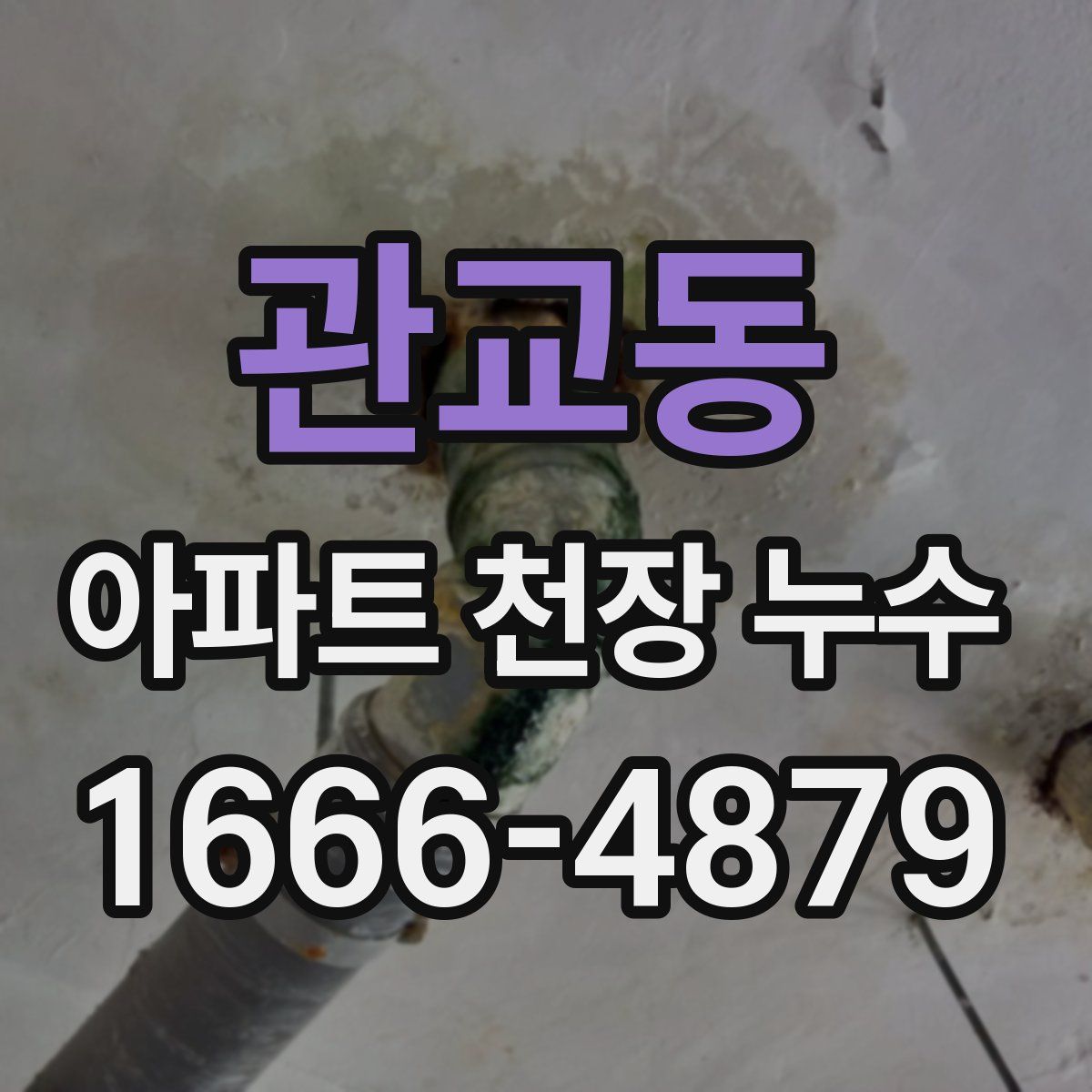 관교동 아파트 천장 누수