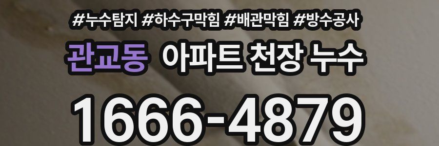 관교동 아파트 천장 누수