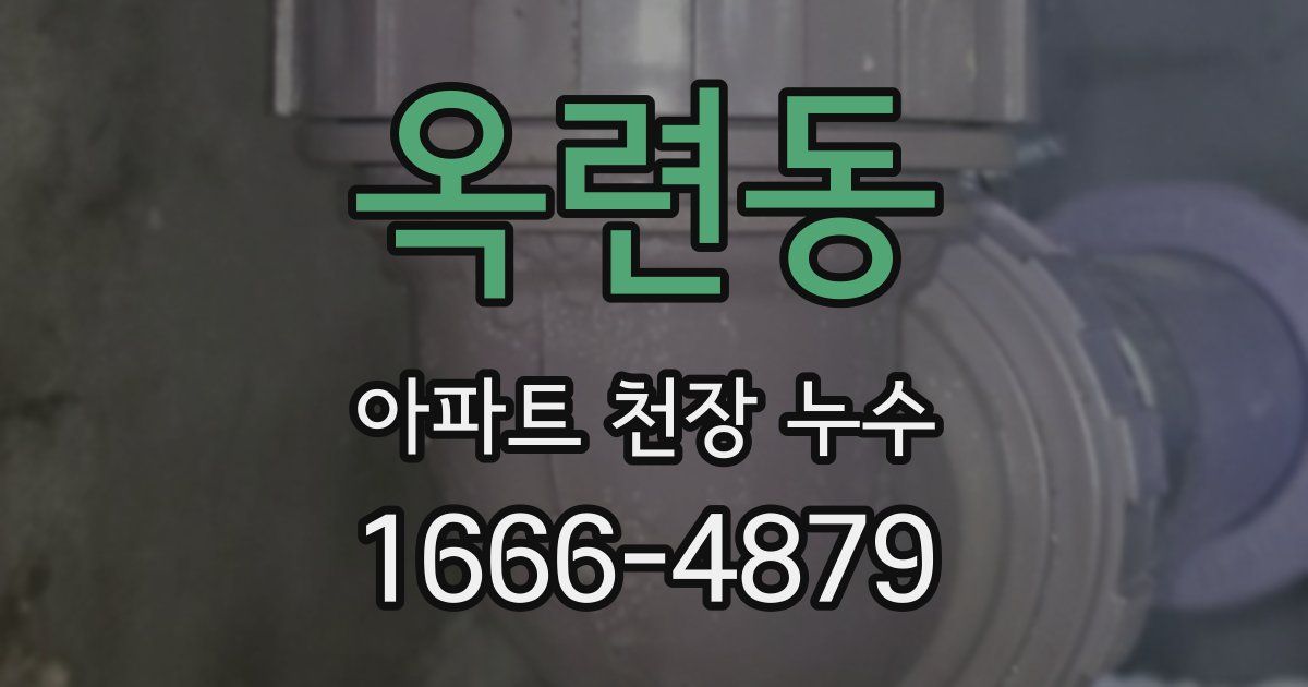 옥련동 아파트 천장 누수