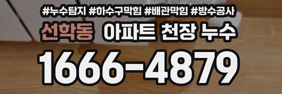 선학동 아파트 천장 누수