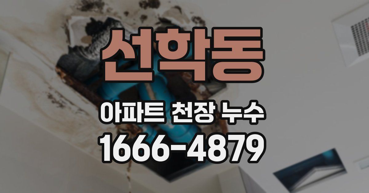 선학동 아파트 천장 누수