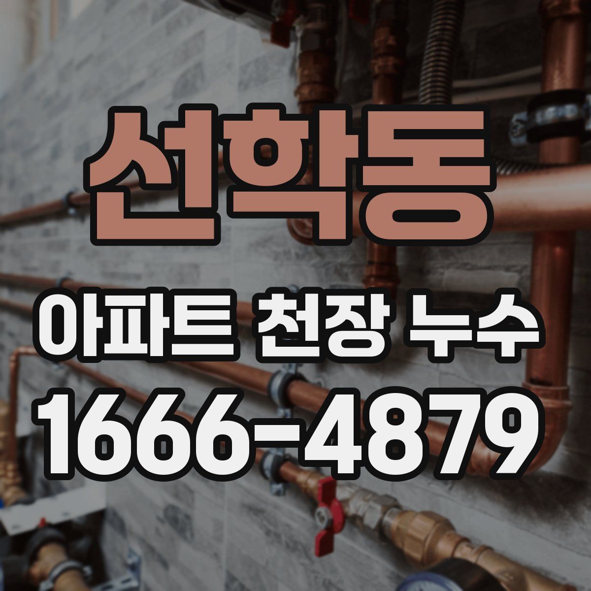 선학동 아파트 천장 누수