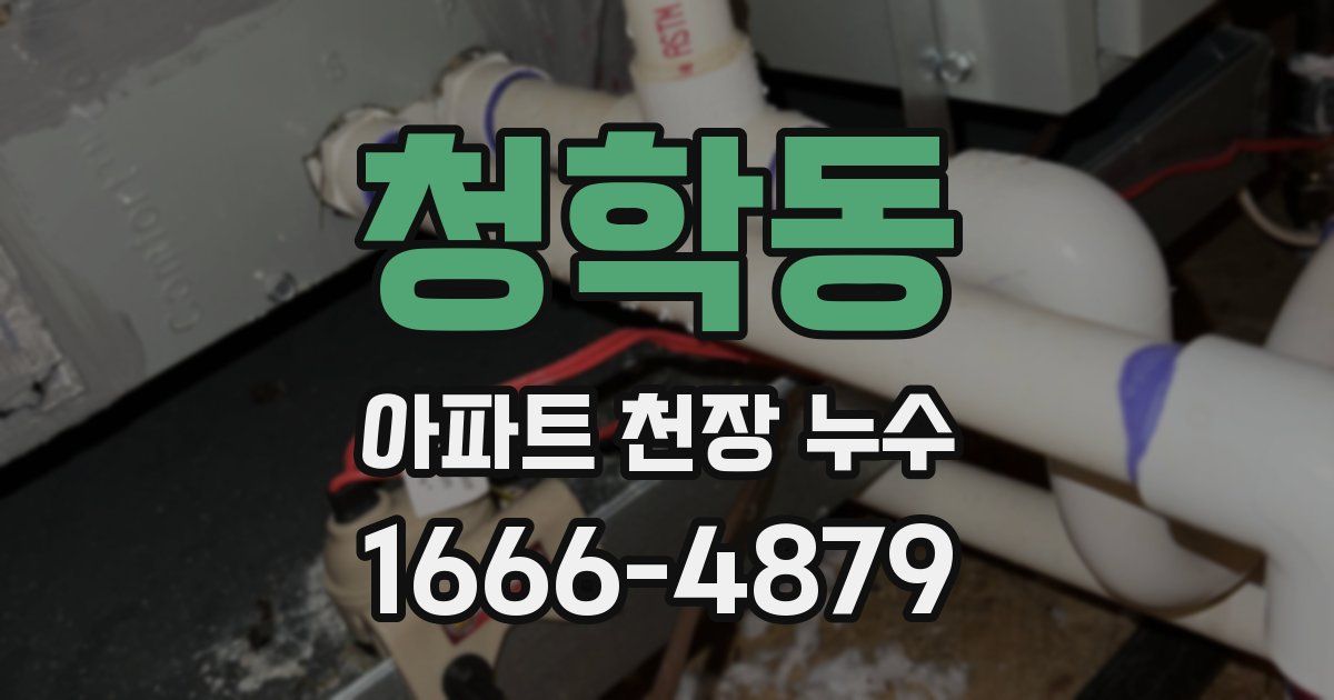 청학동 아파트 천장 누수