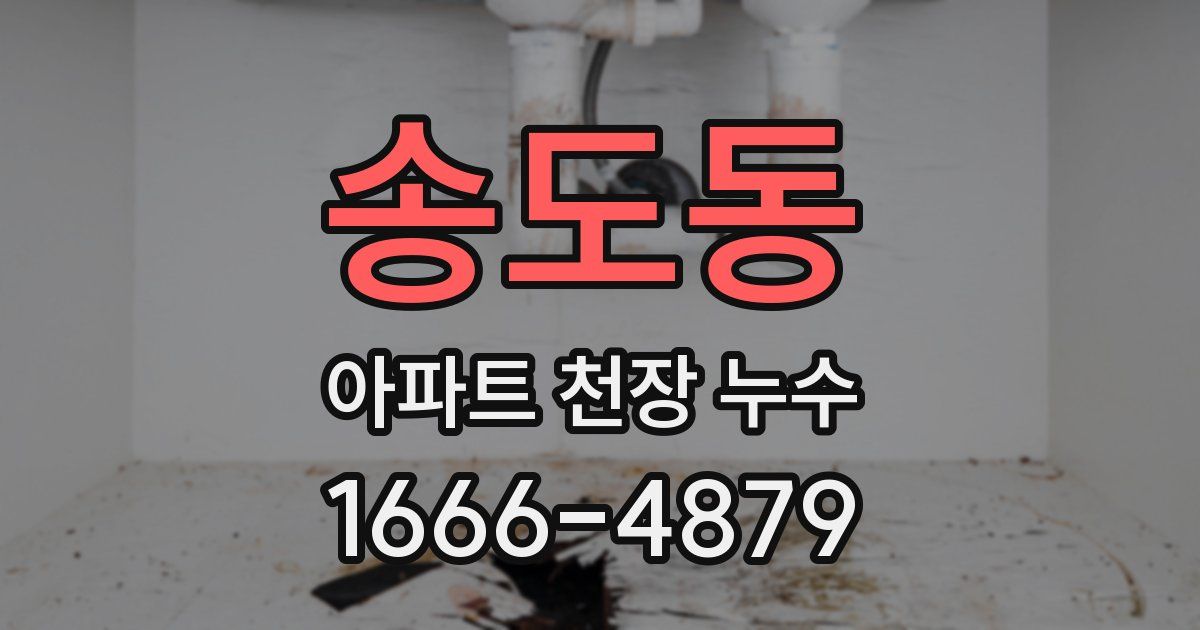 송도동 아파트 천장 누수