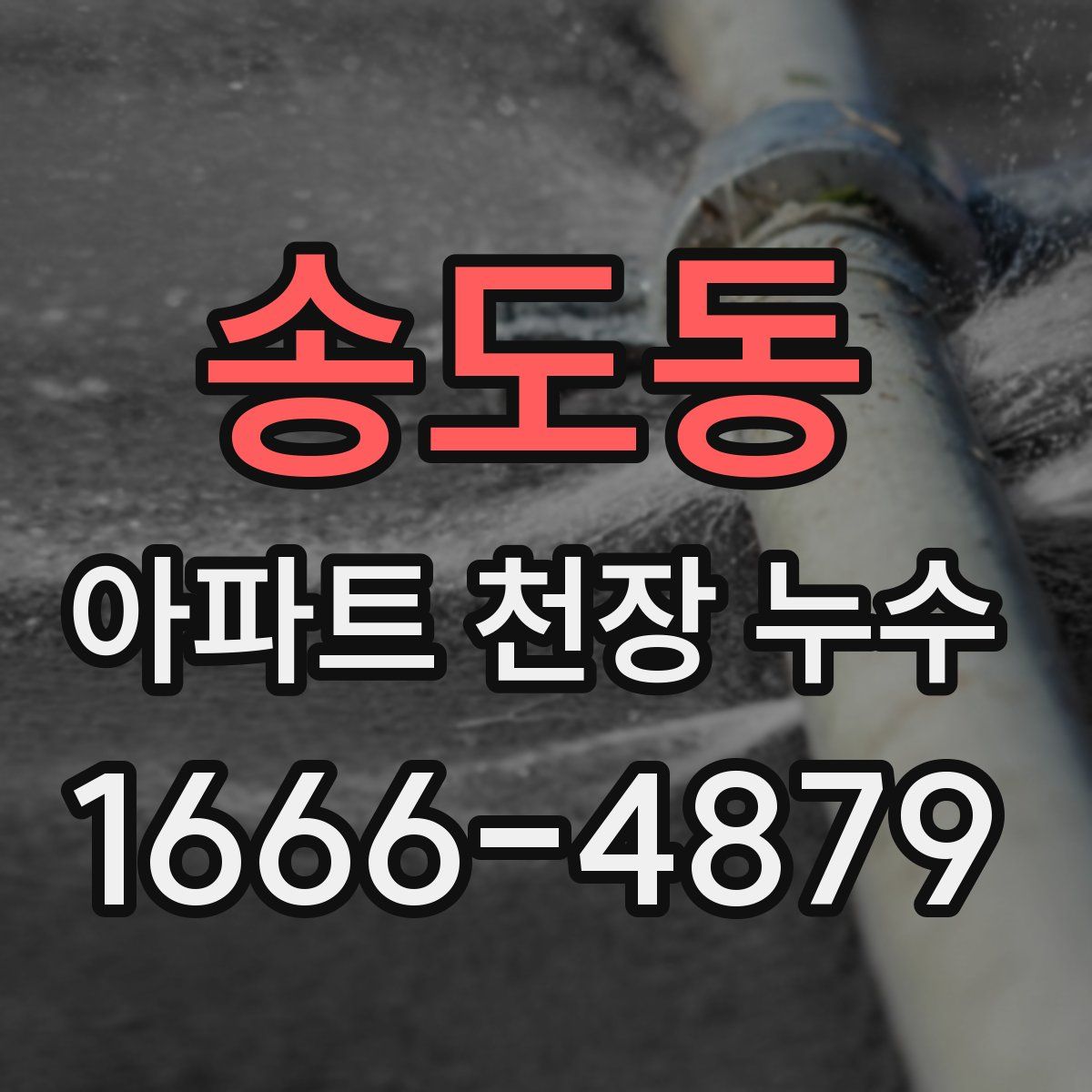송도동 아파트 천장 누수