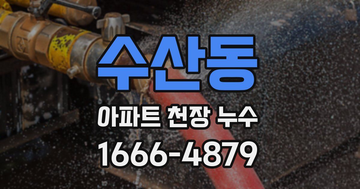 수산동 아파트 천장 누수
