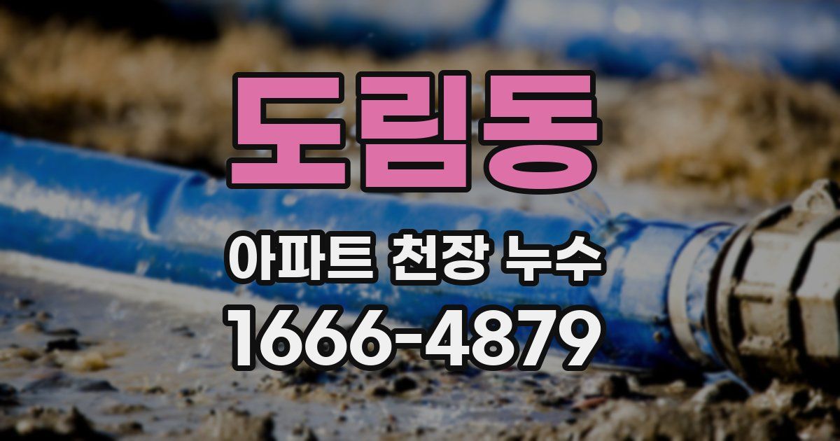 도림동 아파트 천장 누수