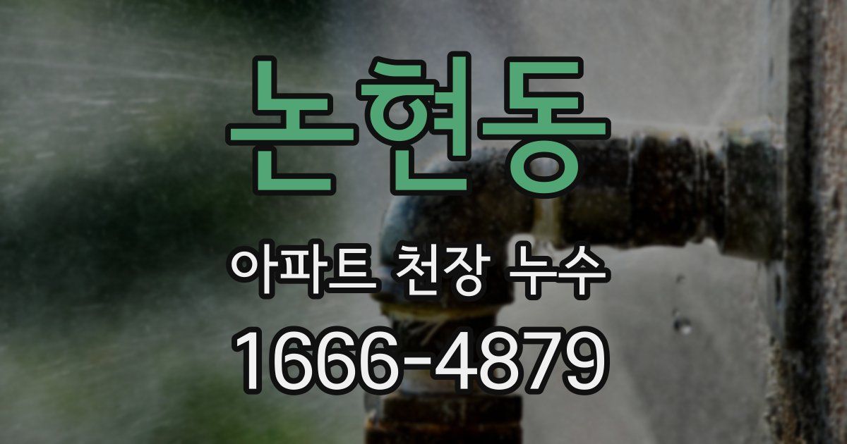 논현동 아파트 천장 누수