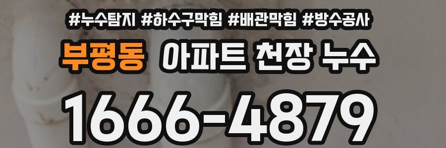 부평동 아파트 천장 누수