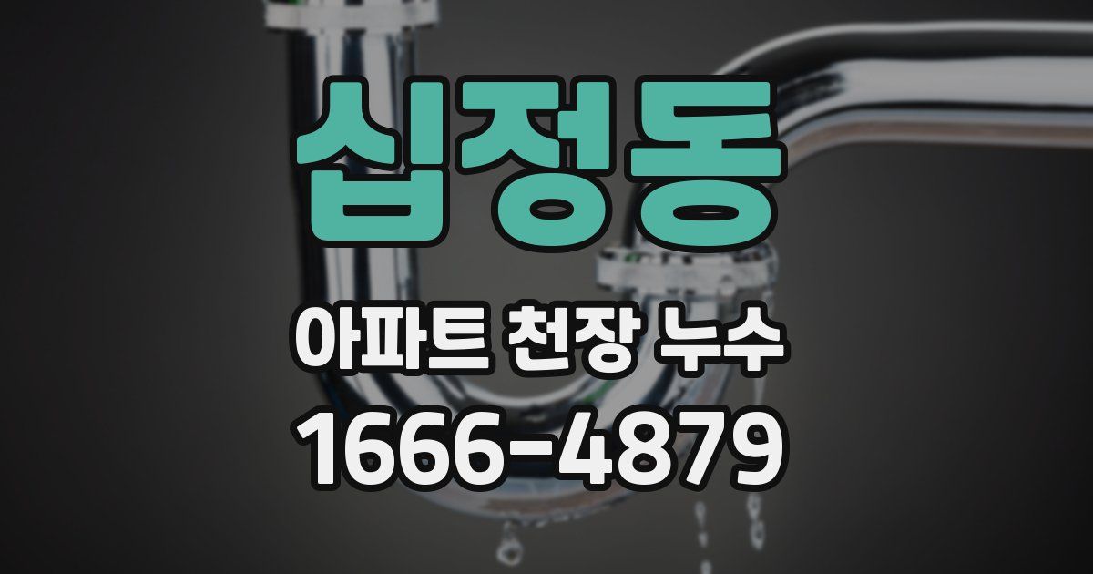 십정동 아파트 천장 누수