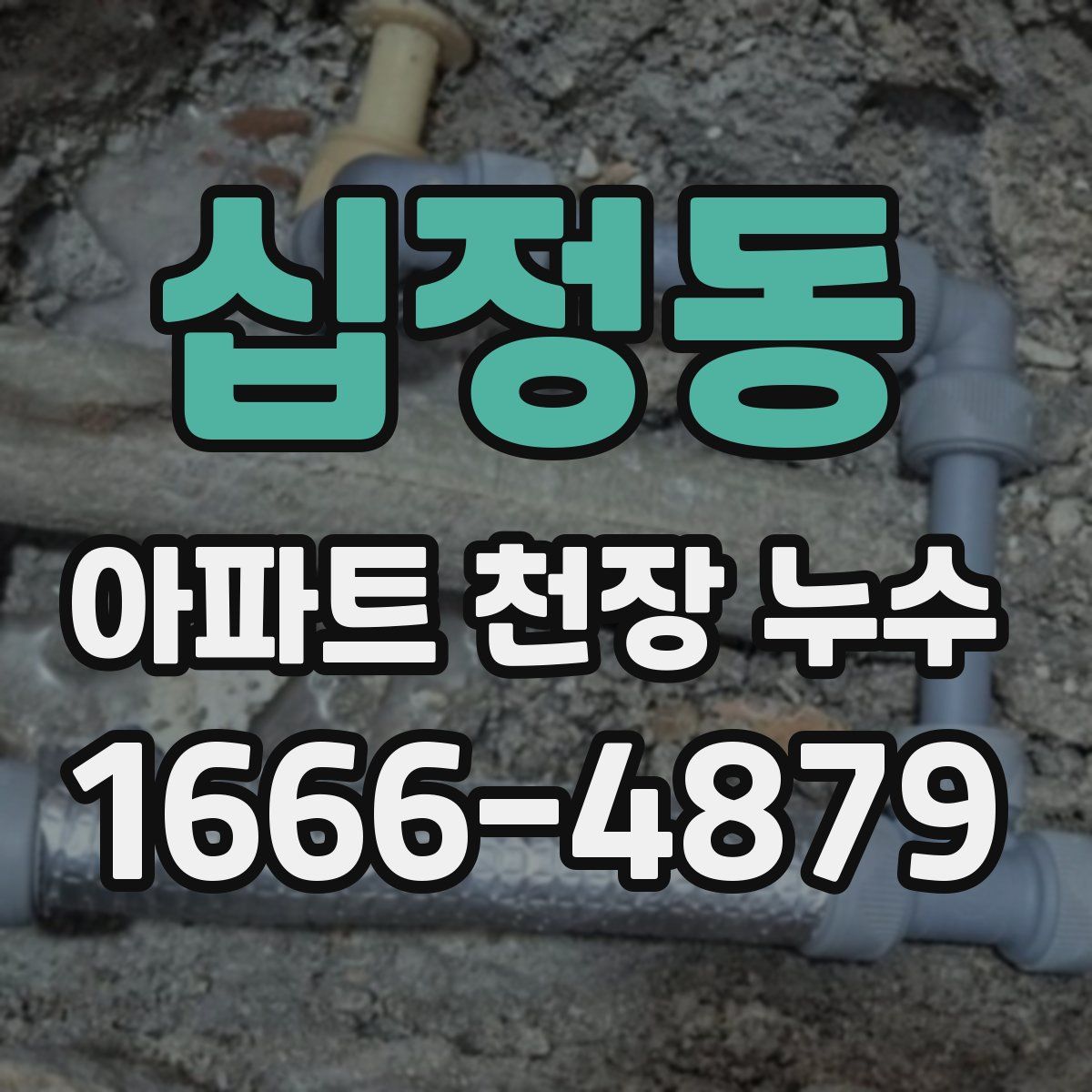 십정동 아파트 천장 누수