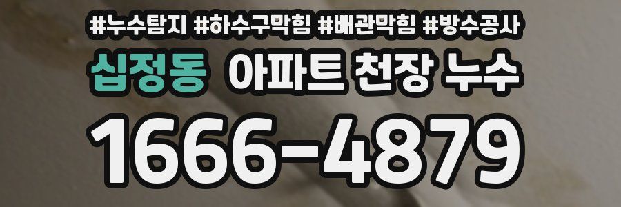 십정동 아파트 천장 누수