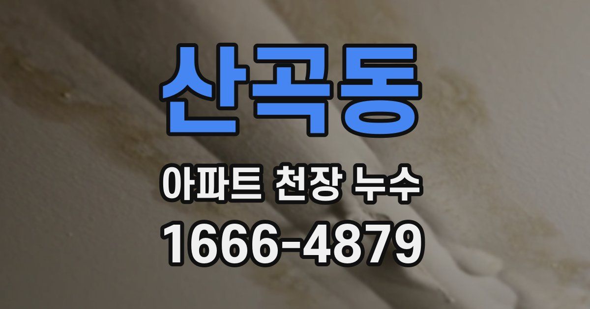 산곡동 아파트 천장 누수