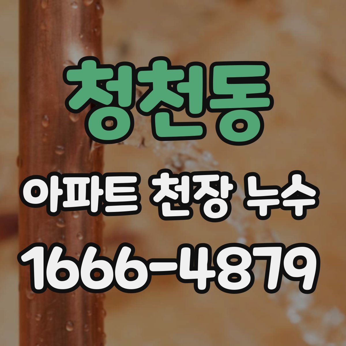 청천동 아파트 천장 누수